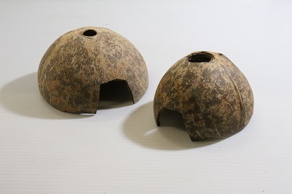 ココナッツシェル